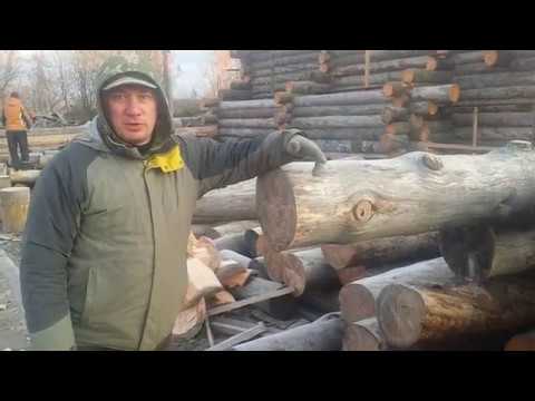 Видео: Сухостой