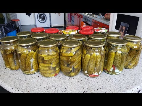 Видео: ОГУРЦЫ на Зиму БЕЗ УКСУСА! БЕЗ КИПЯТКА! ОТВЕТЫ НА ВОПРОСЫ! SALTED CUCUMBERS! Выпуск №533