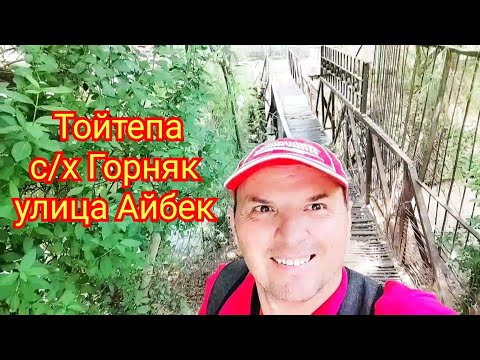 Видео: Тойтепа Нурафшон совхоз Горняк улица Айбек
