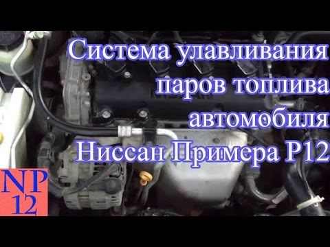 Видео: Система улавливания паров топлива Ниссан Примера Р12