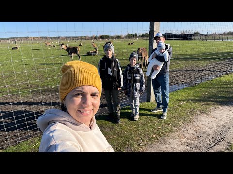 Видео: Екскурсія всією сімʼєю! «Оленяча ферма»! Сарненщина! 