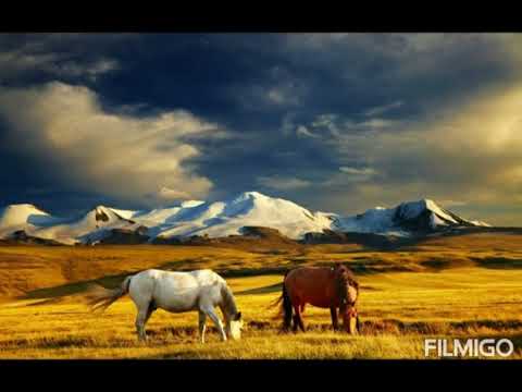 Видео: цыганская песня у тебя секрет там мама