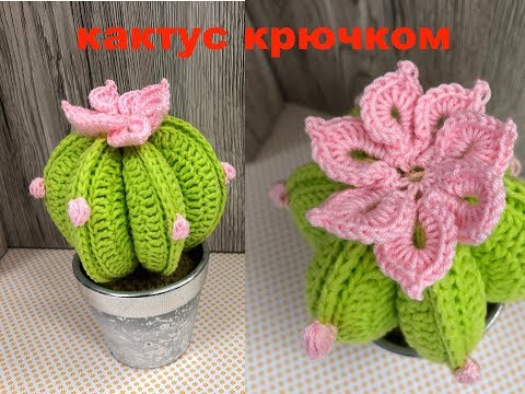 Видео: МК: КАКТУС + ЦВЕТОК КРЮЧКОМ.  CROCHET CACTUS
