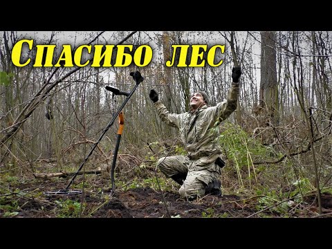 Видео: Опять нашёл  Коп в лесу по средневековью