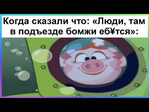 Видео: Тик ток мечтающе смотрит | Подборка мемов