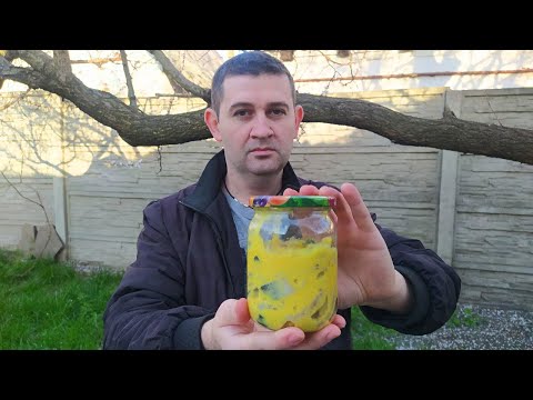Видео: Селедка в нежном горчичном соусе.