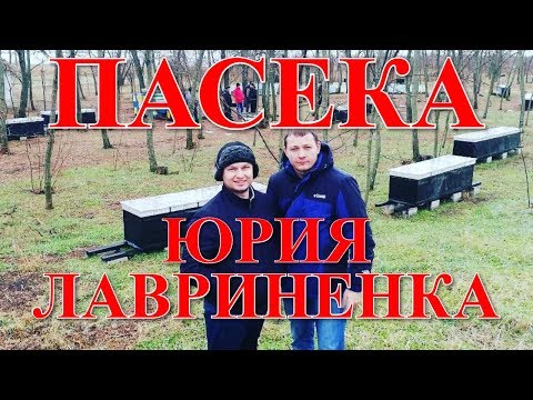 Видео: На пасеке Юрия и Павла Лавриненко / FABRO