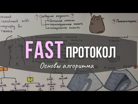 Видео: УЗИ: FAST протокол