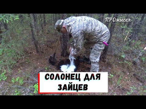 Видео: СОЛОНЕЦ для зайцев.