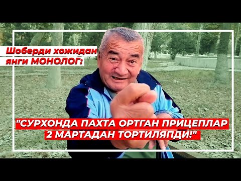 Видео: Негатив 585: Хожибобо яна президентга юзланди!