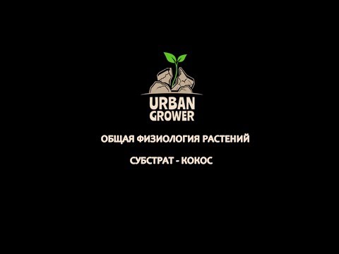 Видео: УРБАН ГРОВЕР УРОК 16 - СУБСТРАТ - КОКОС