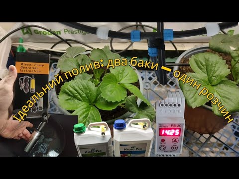 Видео: Полив у гроубоксі: як рівномірно змішати добрива з двох баків | Система з насосами.
