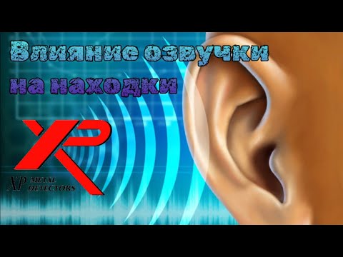 Видео: Как не пропускать находки xp deus,Питч,полифония,5 тонов,в чем разница