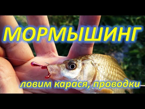 Видео: МОРМЫШИНГ, КАРАСЬ, ПРОВОДКИ