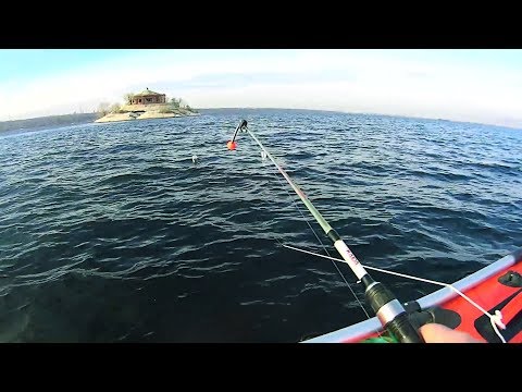 Видео: Ловля судака, берша в отвес.