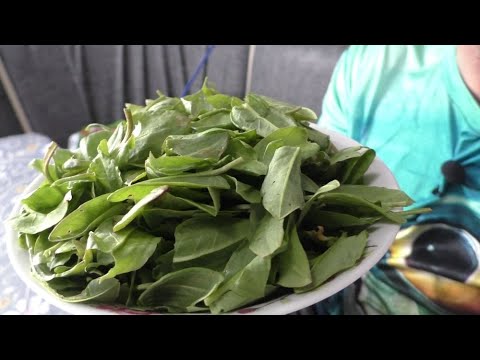 Видео: ЭТО САМЫЙ ВКУСНЫЙ ВЕСЕННИЙ СУП! (НАУЧИЛА МОЯ МАМА) ПИРОГ С ЯБЛОКАМИ