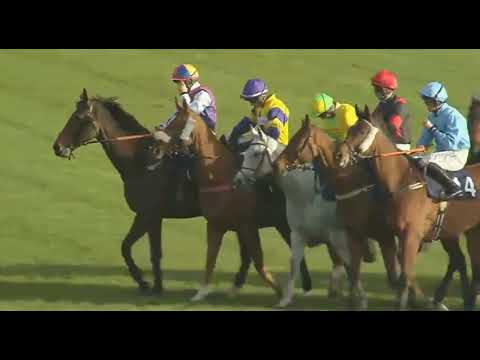 Видео: 1458 Фосс Лас Великобритания