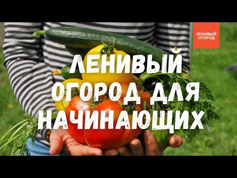 Видео: Огород для новичков  - отвечаю на самые популярные вопросы начинающих огородников | Ленивый Огород