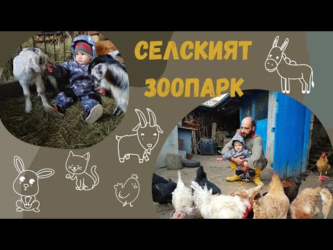 Видео: ЛОРА и ХАЛИЛ: Нашата ПРОЛЕТНА селска ИДИЛИЯ ☼ Имение ХАЛО ☼