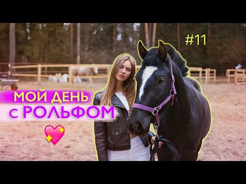 Видео: Один день на конюшне / Уход за лошадью / Новая любовь Рольфа / КОНОГОЛИКИ💜🦄🍬