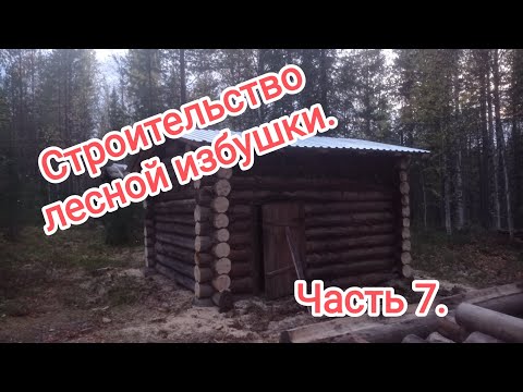 Видео: Строительство лесной избушки. Часть 7. Утеплили потолок и сделали крышу.