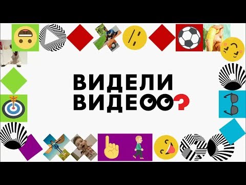 Видео: Приют "Муркоша" в передаче "Видели ВИДЕО?" на Первом канале, выпуск от 18.08.2018