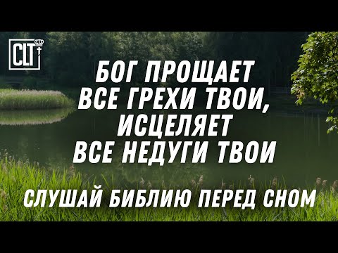 Видео: Я обложу тебя пластырем и исцелю тебя от ран твоих, говорит Господь | Библия | Relaxing