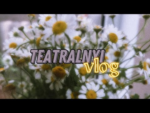 Видео: ТЕАТРАЛЬНЫЙ VLOG 3’ / экзамен по фехтованию / обсуждаем плюсы и минусы учебы