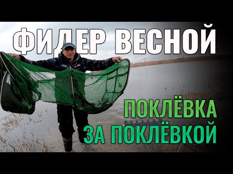 Видео: Фидер весной: поклёвка за поклёвкой