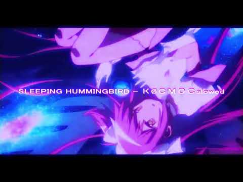 Видео: SLOWED SLEEPING HUMMINGBIRD - КØСМОС