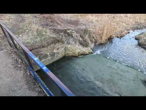 Видео: 7 серия 50 лет спустя 19 03 2025