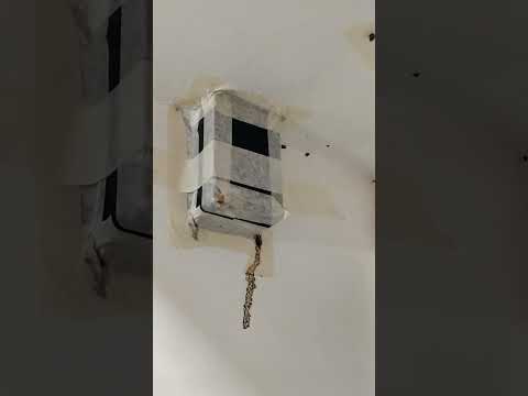 Видео: УБОРКА ПОСЛЕ ТАЙФУНА! МОГЛО БЫТЬ ХУЖЕ