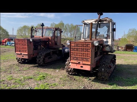 Видео: Боронование 2022 на двух АЛТАЙЦАХ Т-4