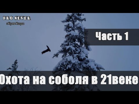 Видео: Охота на соболя в 21 веке. Промысел. Охотники промысловики. Счастливые люди Туруханский район.