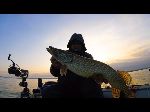 Видео: Бодрая рыбалка и погоня за браками ...bogomaz05