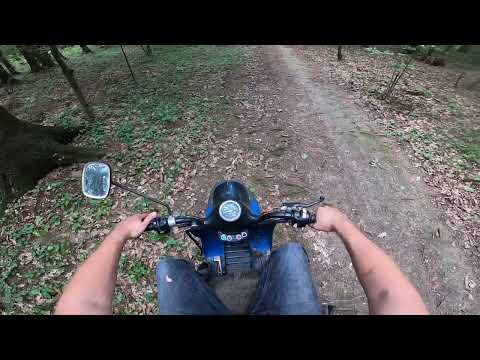 Видео: Новый 4т мотор на мотороллеры муравей 250сс с грузового трицикла