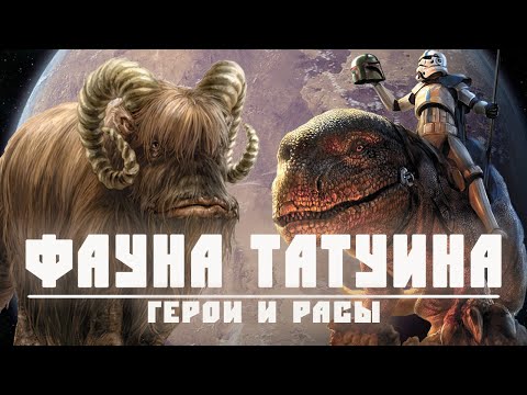 Видео: ФАУНА ТАТУИНА | Всё о живности пустынной планеты Татуин