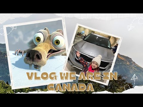 Видео: ПЕРВЫЙ МЕСЯЦ В КАНАДЕ VANCOUVER🇨🇦 ДОКУМЕНТЫ 📃 ПОКУПКА АВТО 🚙 ПЕРЕЕЗД В NANAIMO