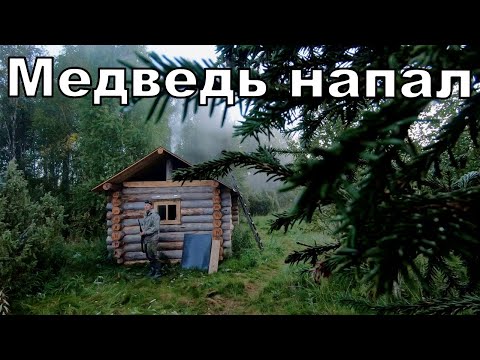 Видео: ЖЕСТЬ.МЕДВЕДЬ НАПАЛ! ЛОМИТСЯ КО МНЕ В ОКНО. НОЧНАЯ ОСАДА ИЗБЫ.