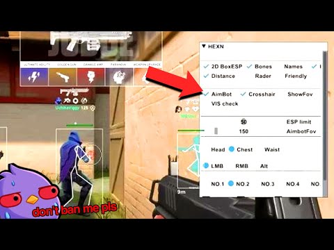 Видео: Я дал легальные ЧИТЫ игрокам Valorant... (это была БОЛЬШАЯ ОШИБКА)