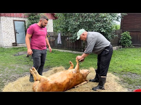 Видео: Мʼясник з 45 річним стажем показує і розповідає як розробляє тушу свині 👍👍👍👍