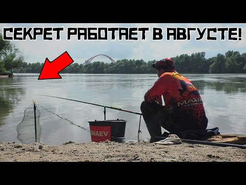 Видео: ЗАКОРМИЛ ПО-ХИТРОМУ и НАЧАЛОСЬ! Секреты рыбалки в АВГУСТЕ 2024! Кто клюёт в ЯМЕ?!