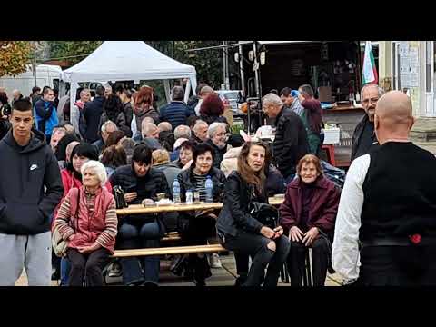 Видео: Фестивал на царския орел, Тополовград 2025