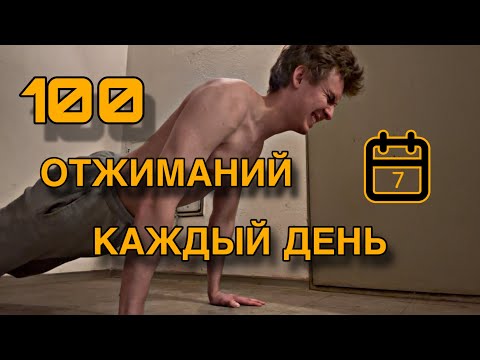 Видео: 100 Отжиманий в День 7 Дней Подряд