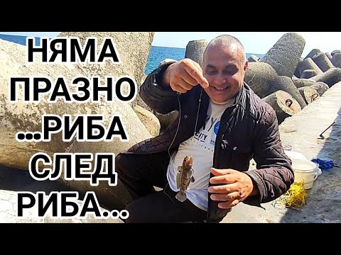 Видео: ПЪРВОМАЙСКИ МОРСКИ РИБОЛОВ НА ПОПЧЕТА! СТРАШЕН КЕФ И ТОПЛО ЧЕРНОМОРСКО СЛЪНЦЕ!ВЕЧЕ СТАВА И ЗА ПЛАЖ!