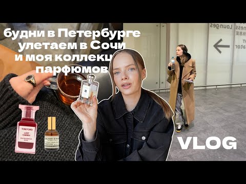 Видео: Моя коллекция парфюмов, будни в Петербурге и улетаем в Сочи! VLOG