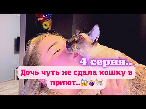 Видео: КринШовая семья - 4 серия - "Бесполезное воспитание"