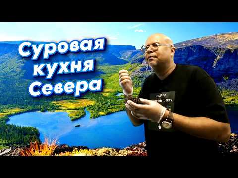 Видео: От оленьего мха до ежей: что едят в русской Арктике