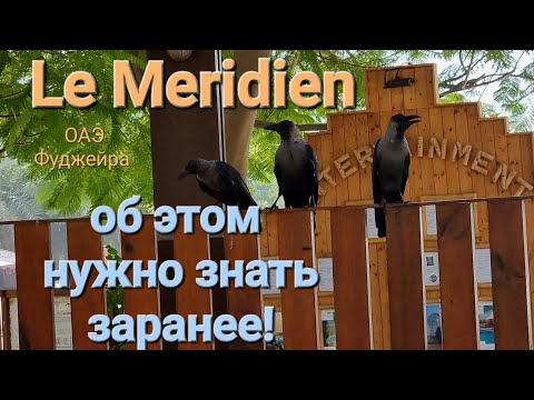 Видео: Le Meridien Fujairah | Вы точно об этом не знали! Смотреть до конца!