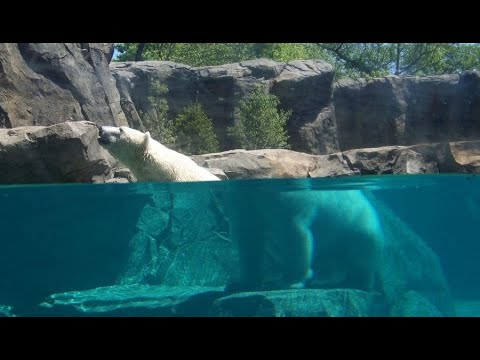 Видео: БД3. Гэрлийн хугарал